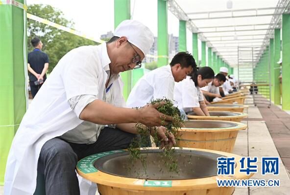 关于贵州省第一届职工职业技能大赛——“朵贝贡茶杯”手工制茶、古树茶加工技能大赛普定赛区落下帷幕的内容(2)