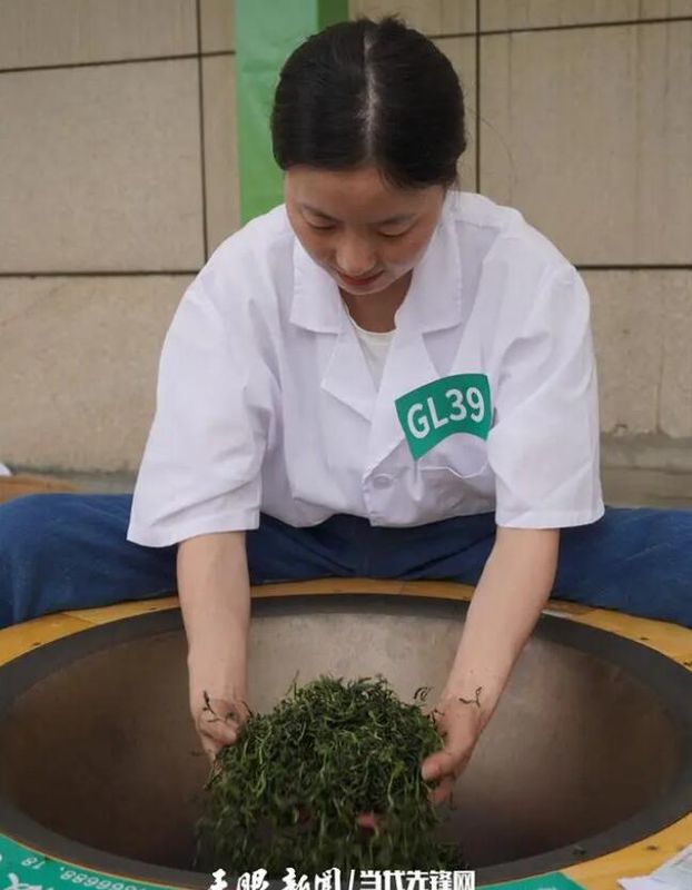 关于全省163名制茶选手齐聚普定比拼手工制茶、古树茶加工技能的相关信息(7)