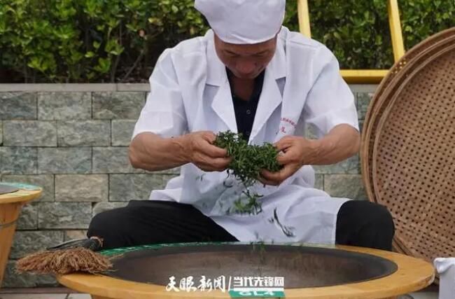 关于全省163名制茶选手齐聚普定比拼手工制茶、古树茶加工技能的相关信息(5)
