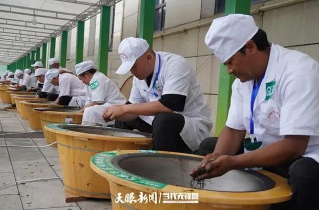 关于全省163名制茶选手齐聚普定比拼手工制茶、古树茶加工技能的相关信息(8)