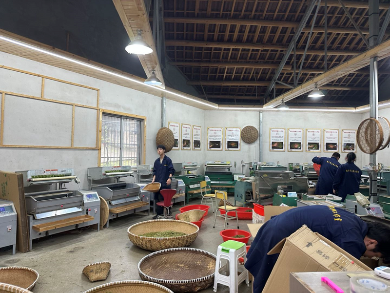 有关于 富阳茶产业高质量发展的路径与展望的相关信息(8)