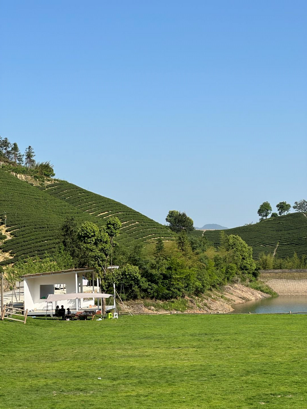 有关于 富阳茶产业高质量发展的路径与展望的相关信息