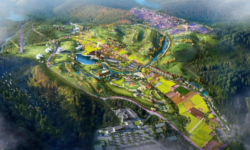 有关于 富阳茶产业高质量发展的路径与展望的相关信息(5)