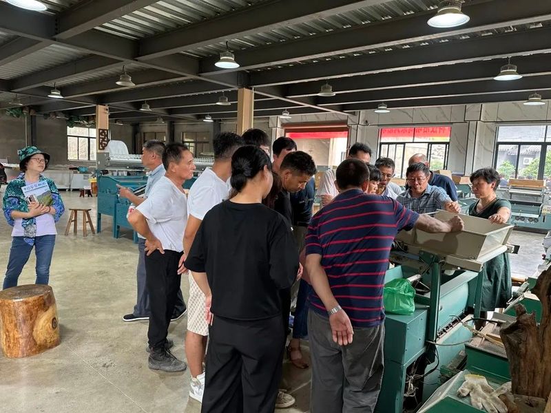 有关于 富阳茶产业高质量发展的路径与展望的相关信息(10)