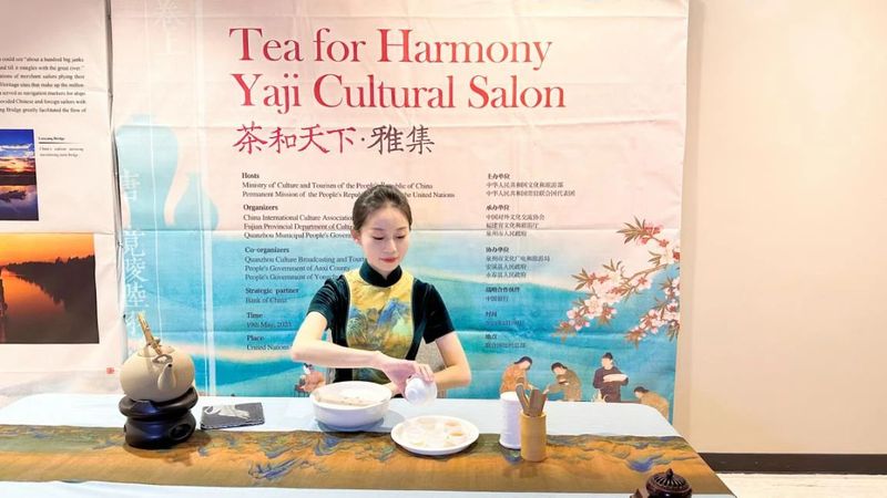 关于安溪铁观音香飘联合国总部的内容(7)