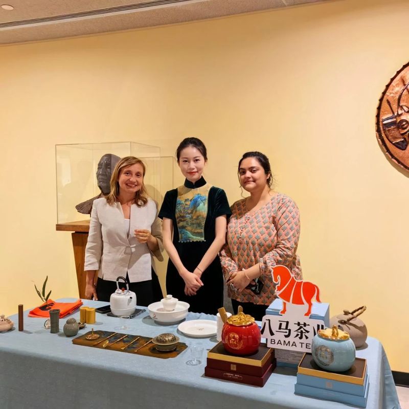 关于安溪铁观音香飘联合国总部的内容(3)