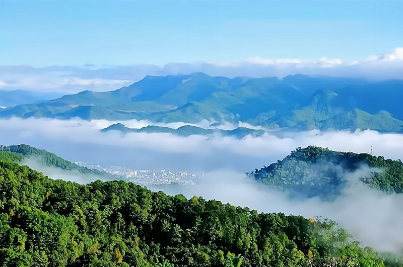 关于普洱市“世界茶源 全球共享”国际茶日活动周启动仪式的消息(9)