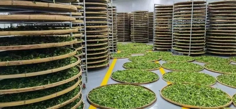 关于普洱市“世界茶源 全球共享”国际茶日活动周启动仪式的消息(5)