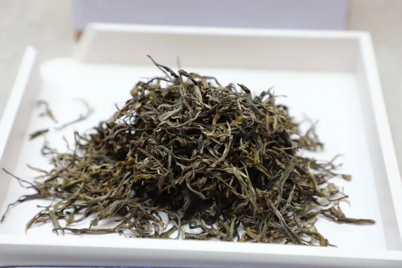 关于普洱市“世界茶源 全球共享”国际茶日活动周启动仪式的消息(7)