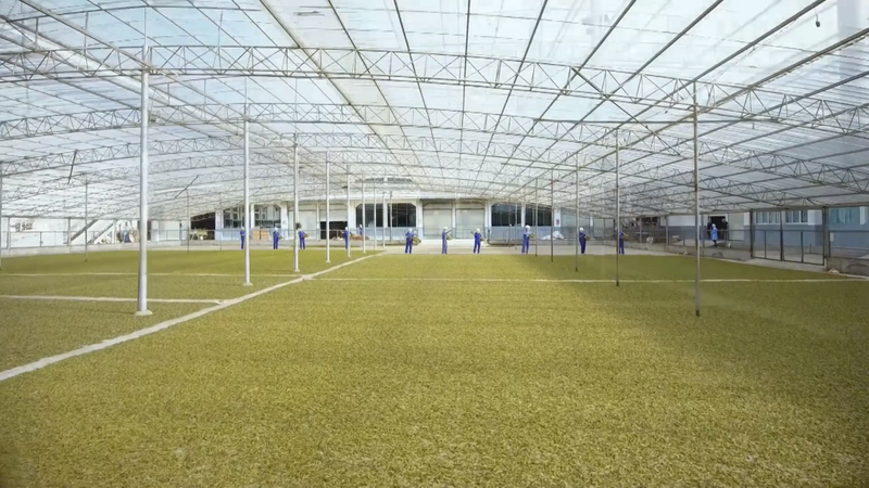 有关于双江：多举措推动茶叶产业发展的消息(1)