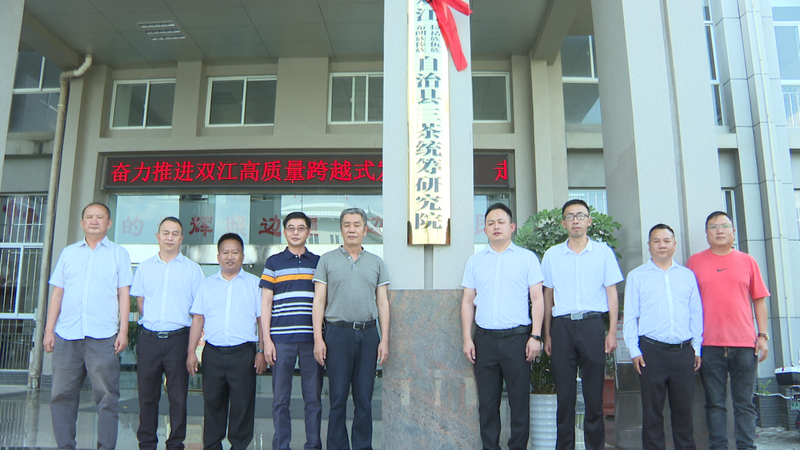 有关于双江：多举措推动茶叶产业发展的消息(6)