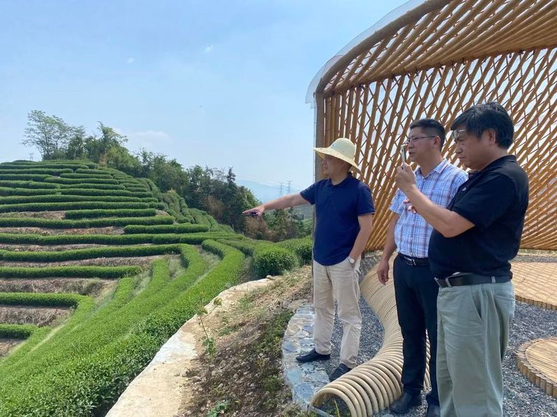 关于一周速读：新茶饮“联姻”传统茶、非遗好茶飘香世界、2023北京国际茶业展的相关内容(5)