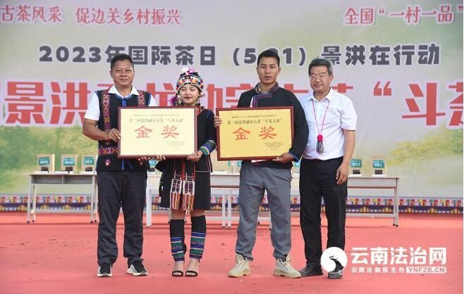 有关于景洪市勐龙镇举行第三届景洪勐龙勐宋古茶“斗茶大赛”的新闻(1)