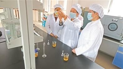 关于廉江变身国内最大的红乌龙茶产区科技让传统农业“特起来”的消息