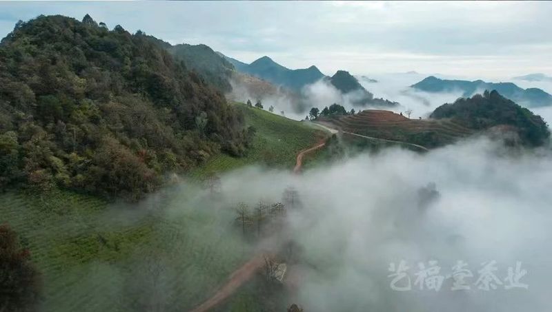 有关于艺福堂的信息(3)