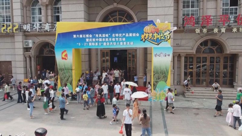 关于全市各地联动迎接“国际茶日”　广邀共饮梧州六堡茶的新闻(8)