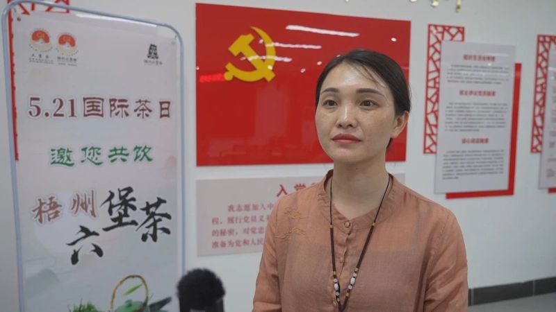 关于全市各地联动迎接“国际茶日”　广邀共饮梧州六堡茶的新闻(12)