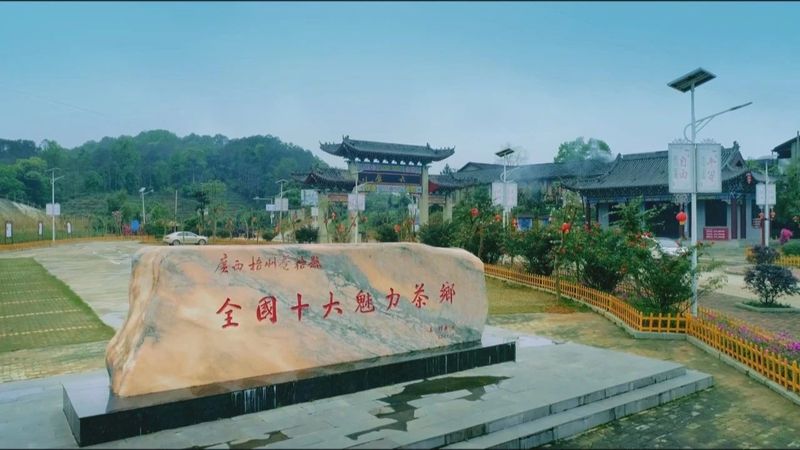 关于全市各地联动迎接“国际茶日”　广邀共饮梧州六堡茶的新闻(6)