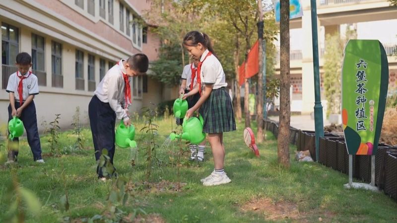 关于全市各地联动迎接“国际茶日”　广邀共饮梧州六堡茶的新闻(14)