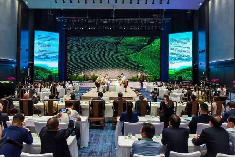 有关于大使品茶享安康 丝路香茗敬友朋——2023“国际茶日·大使品茶”活动在陕西安康举办的相关内容(3)