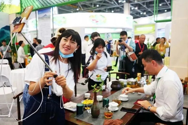 有关于产业赋能走前列 ——浙江高质量推动“三茶”统筹发展纪实的资讯(1)