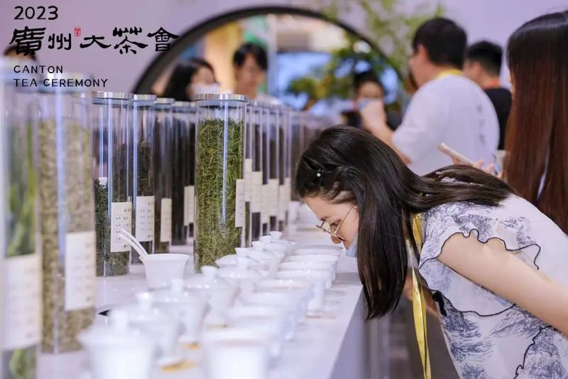 有关于广州大茶会： 品茶达人挑战赛激发茶文化热潮的资讯(3)