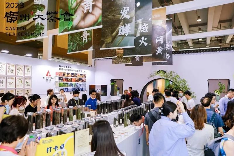 有关于广州大茶会： 品茶达人挑战赛激发茶文化热潮的资讯(8)