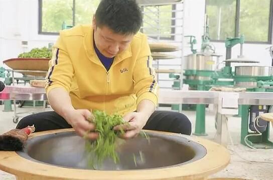 有关于梅州：提质增效，书写高质量发展新“茶经”的资讯(2)