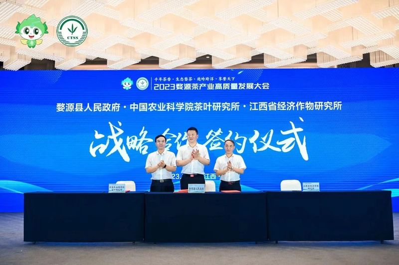 有关于2023婺源茶产业高质量发展大会圆满落幕，精彩回顾的新闻(7)