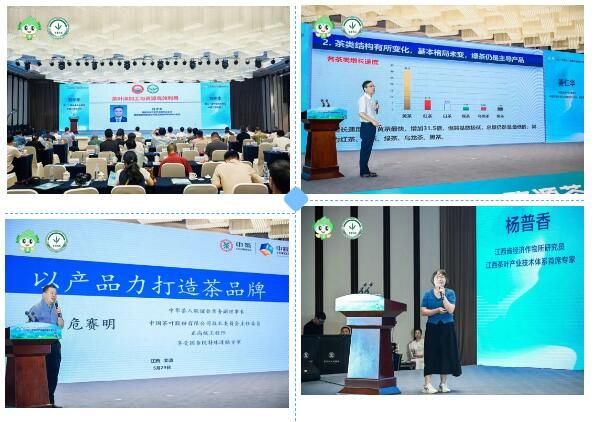 有关于2023婺源茶产业高质量发展大会圆满落幕，精彩回顾的新闻(18)
