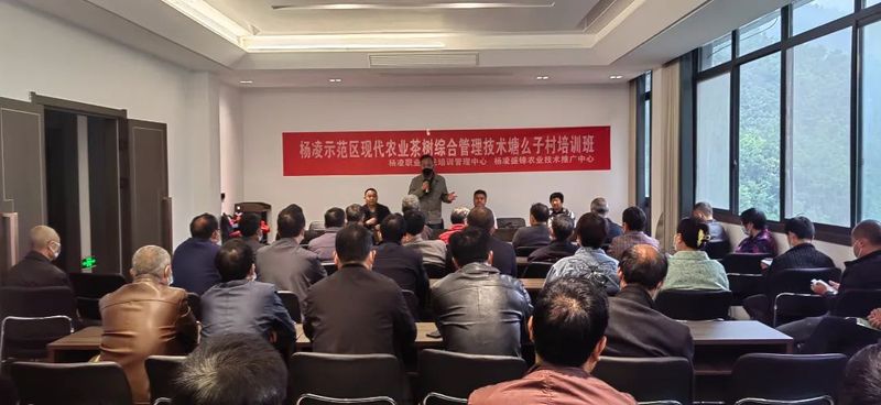 有关于城关镇:茶产业技术培训助力乡村振兴的信息