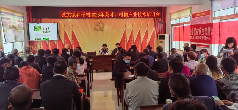 有关于城关镇:茶产业技术培训助力乡村振兴的信息(1)