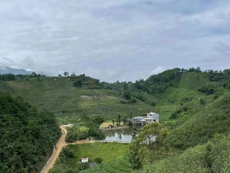 关于勐板乡忙肺村：紧抓“根源” 护航茶产业示范片建设的新闻(1)