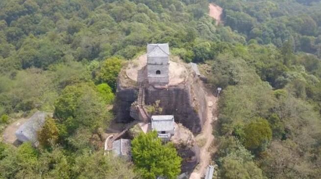 有关于普洱茶，洇染开北回归线上的岁月静好的信息(7)