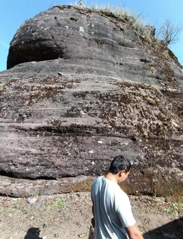 有关于普洱茶,洇染开北回归线上的岁月静好的信息(6)
