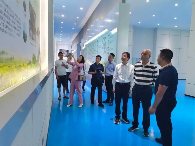 有关于省政协原副主席李祖可到和平县调研茶产业发展情况的相关信息