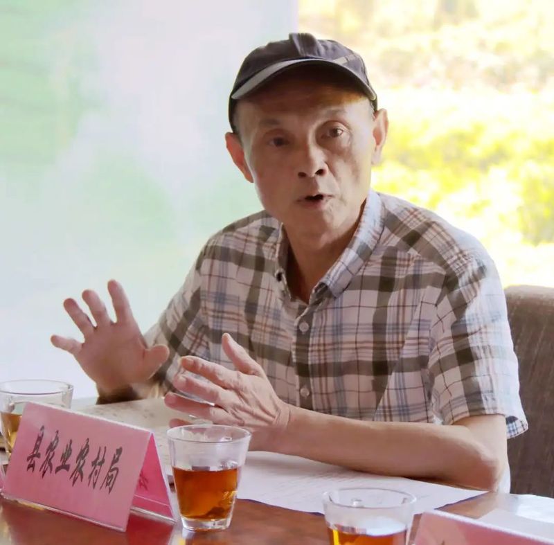 有关于茶园里开“茶话会”　共谋茶产业新发展的相关信息(12)