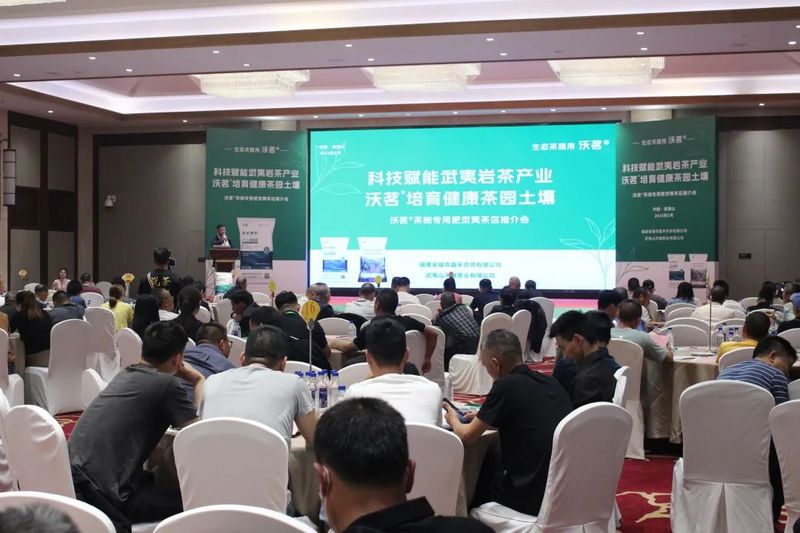 有关于科技赋能茶业提质升级！从源头着手，加速中国茶的高质量发展建设的信息