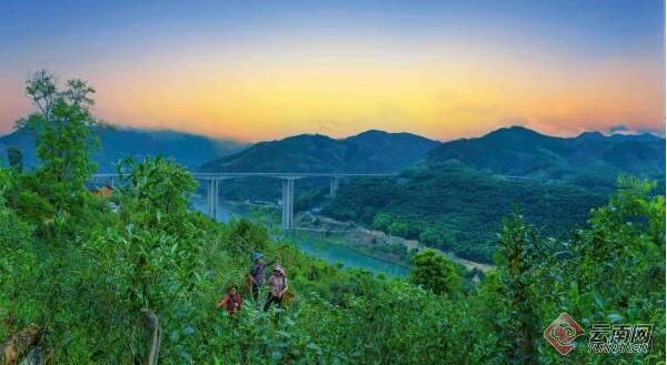 有关于云南临沧：做好一片茶叶 富裕一方百姓的消息(3)