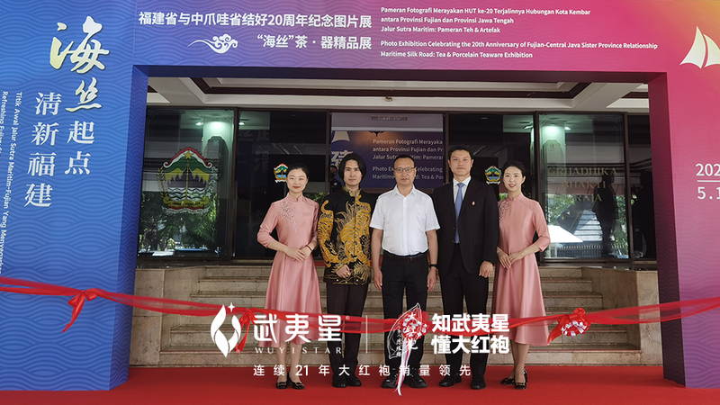 有关于列入人类非物质文化遗产半年之后，中国茶迎来怎么样的发展契机？的新闻(10)