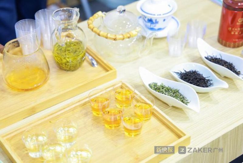 关于“宜昌茗茶 · 香飘湾区” 宜昌茶叶推介会在广州举行的最新消息(7)