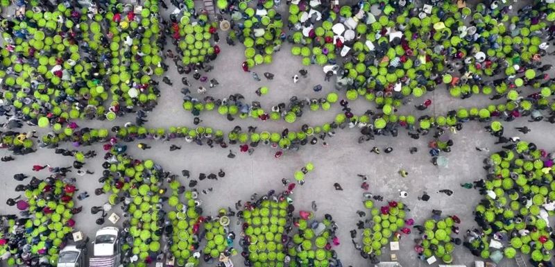 有关于春茶中国行⑩雅安大熊猫火了，但雅安茶火了3000多年了！的资讯(1)