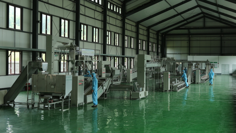 有关于春茶中国行⑩雅安大熊猫火了，但雅安茶火了3000多年了！的资讯(5)