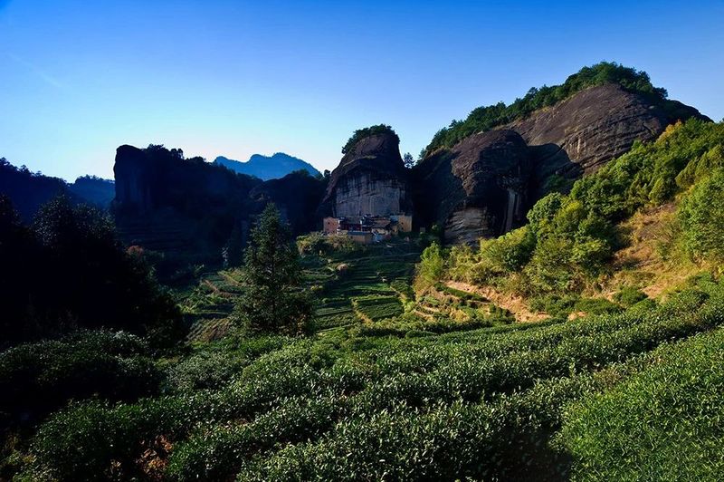 关于“名山大川林立、文人墨客聚首”世界乌龙茶、红茶发源地——福建武夷山市的新闻(6)