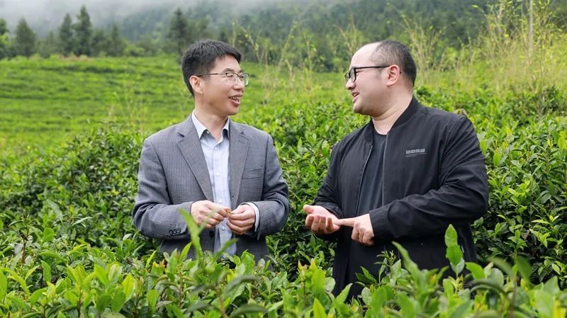 关于安徽省茶叶产业技术体系首个技术示范基地在岳西挂牌的信息(1)