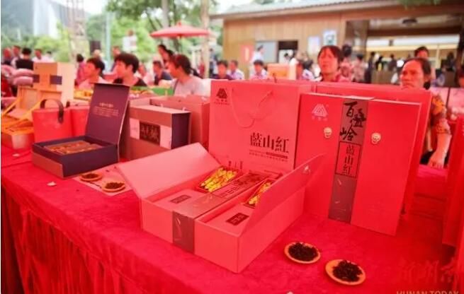 关于蓝山县第二届百叠岭采茶节开幕的新闻(3)