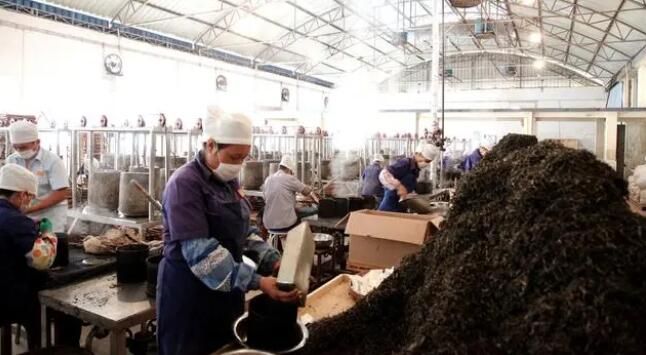 关于云南首家“三茶统筹”研究院正式揭牌的消息(3)