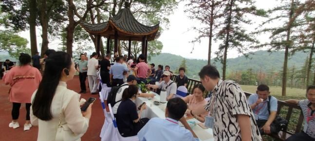 有关于各地嘉宾体验九江茶旅文化的新闻(2)