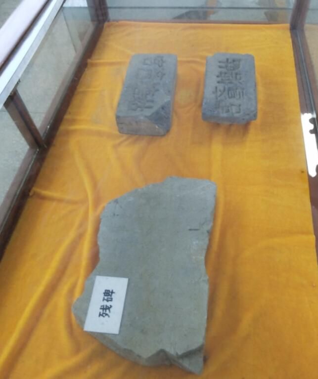 有关于各地嘉宾体验九江茶旅文化的新闻(8)