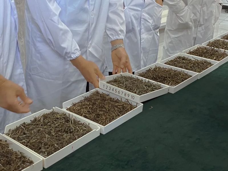 关于临翔区：以茶为题助推“三茶统筹”引领茶产业高质量发展的内容(3)